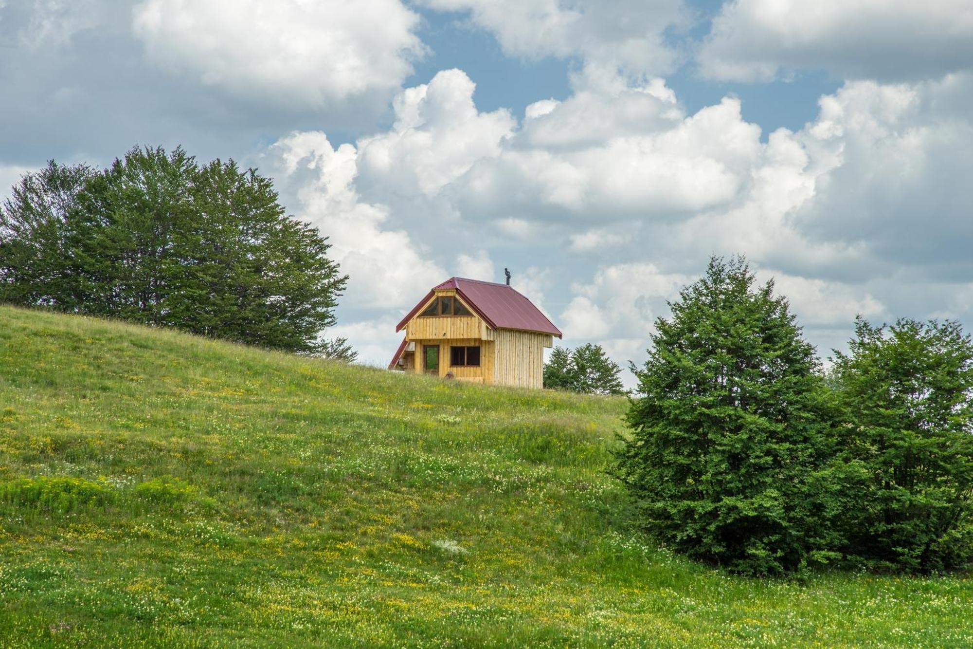 Maple Village Zabljak  Room photo