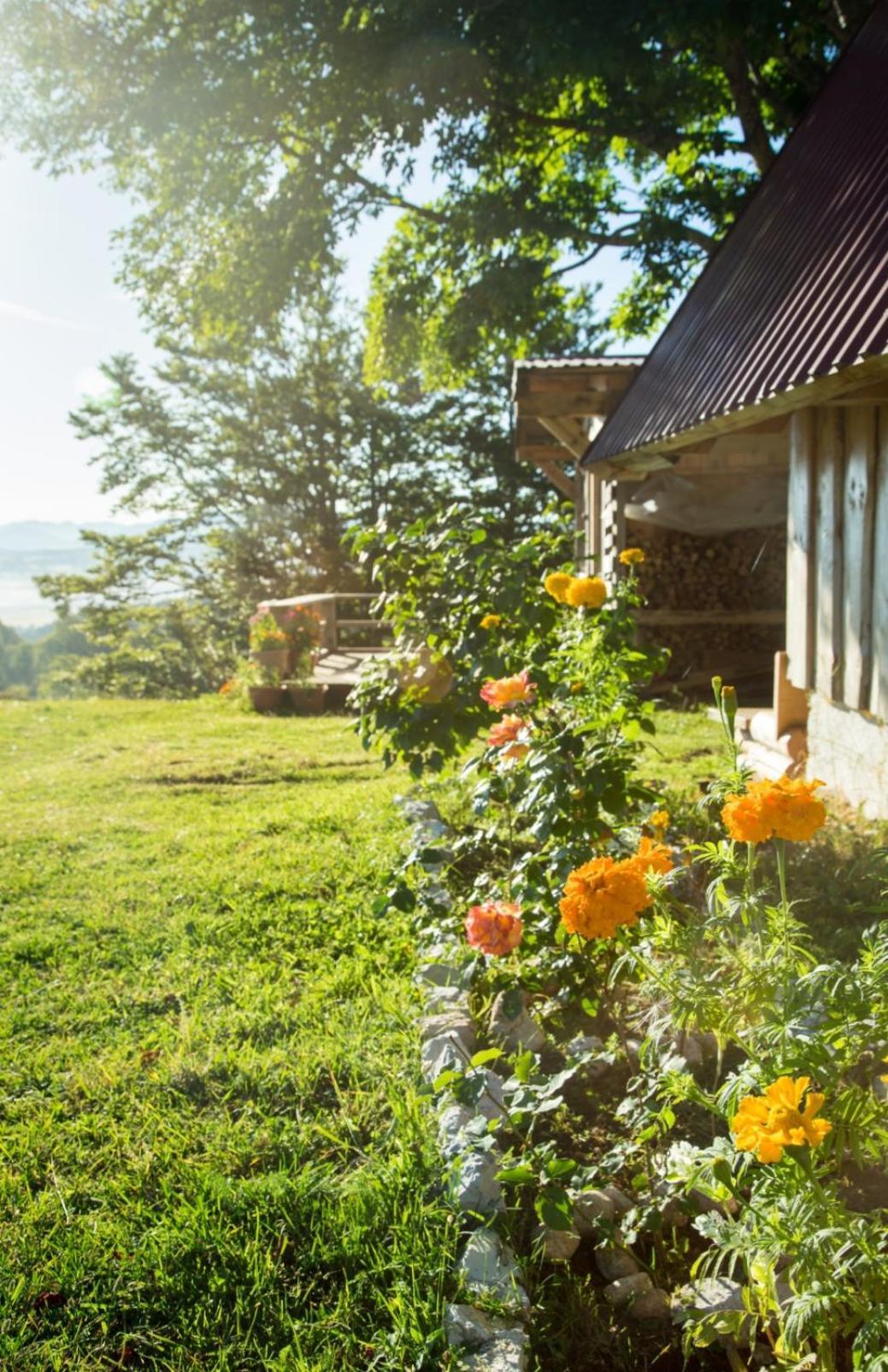 Maple Village Zabljak  Exterior photo