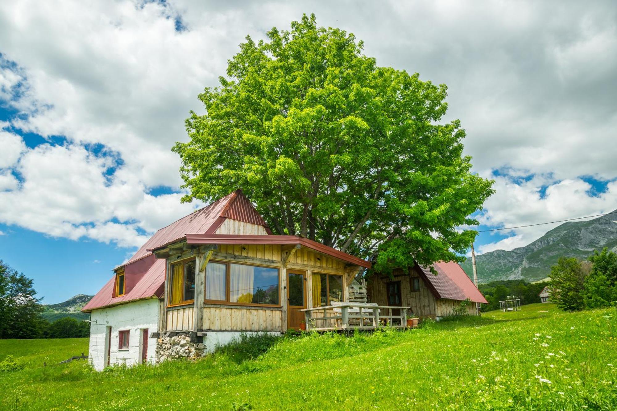 Maple Village Zabljak  Exterior photo