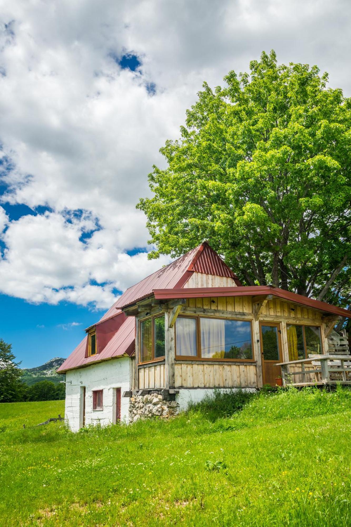 Maple Village Zabljak  Exterior photo