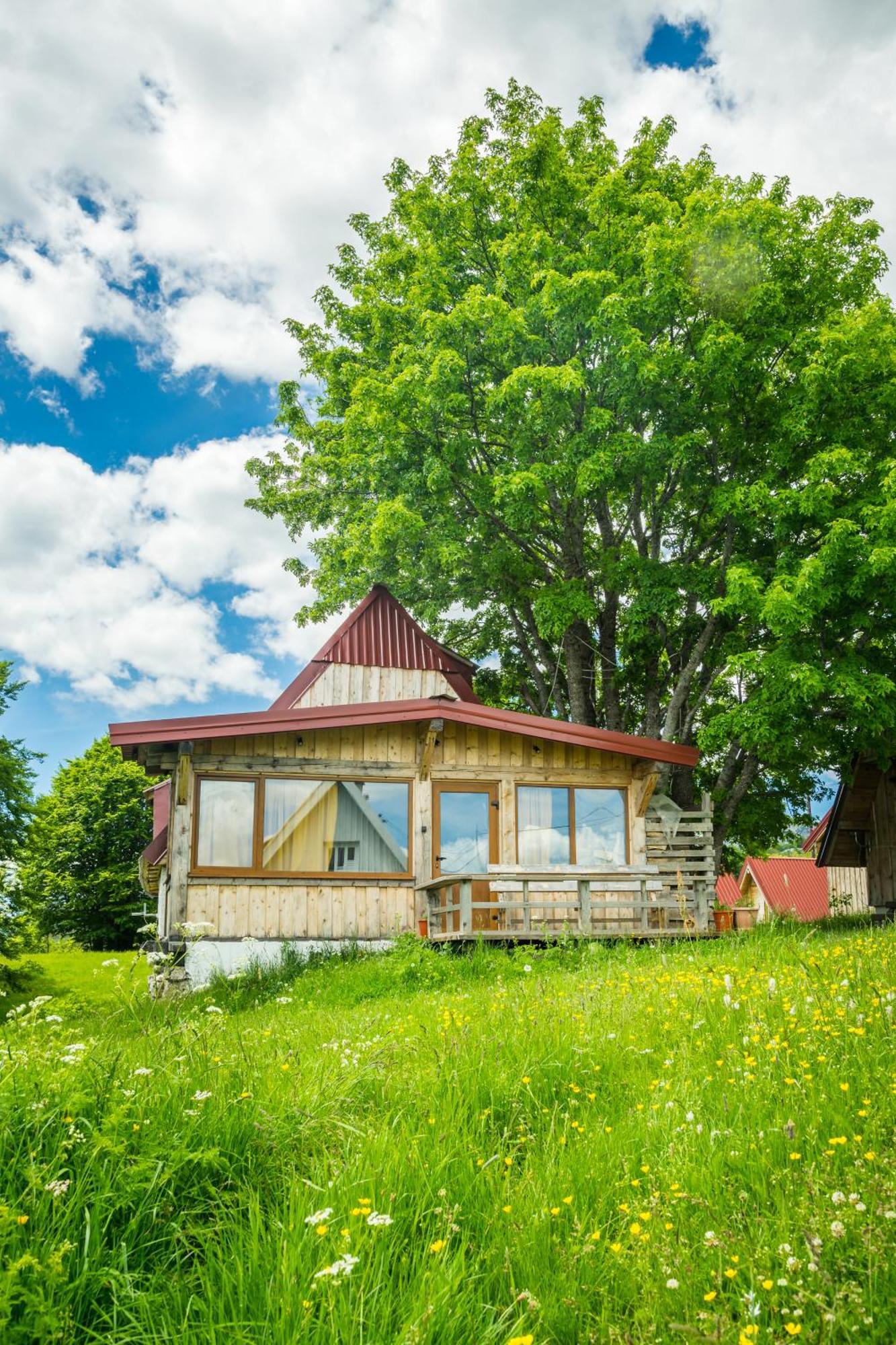 Maple Village Zabljak  Exterior photo